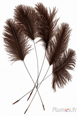 Rispe Strauß - 35-40 cm - schokolade-naturgrau
